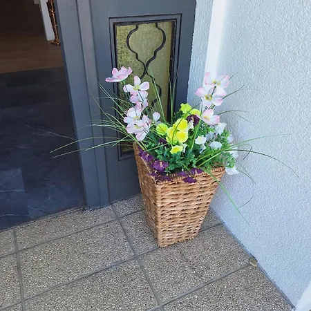 House With Garden Close To Vienna & Airport Maria Ellend